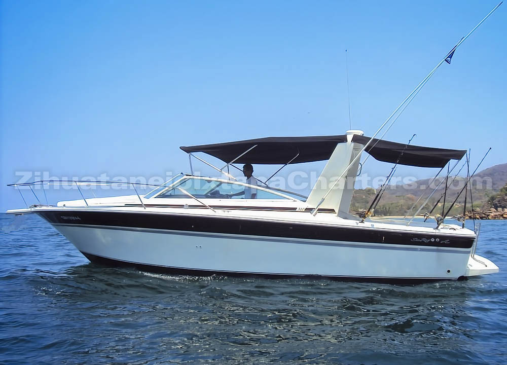 Sea RayAmberjack 310