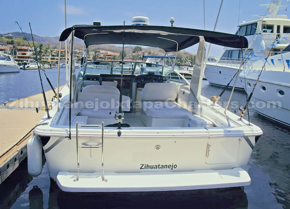 Aft section with transom and swim ladder